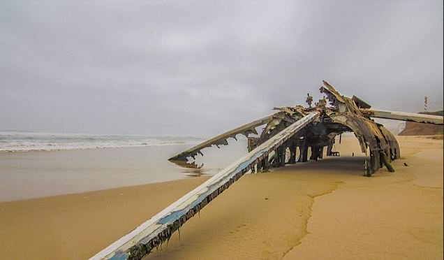 dhalkot beach