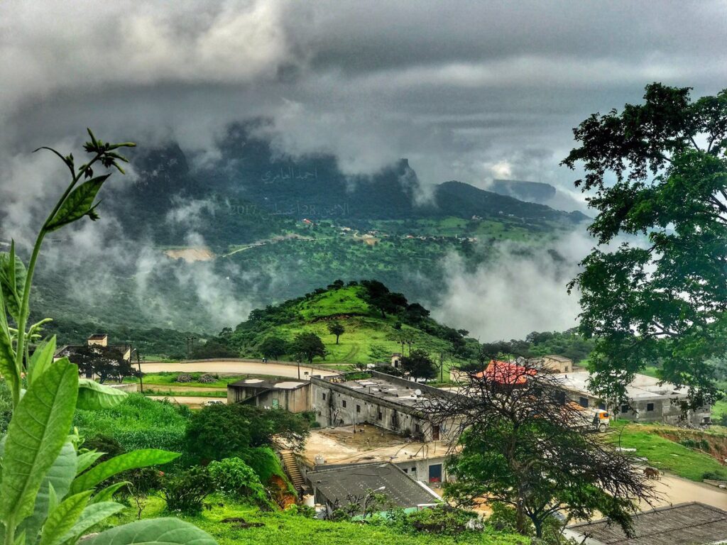 sarfyt viewpoint