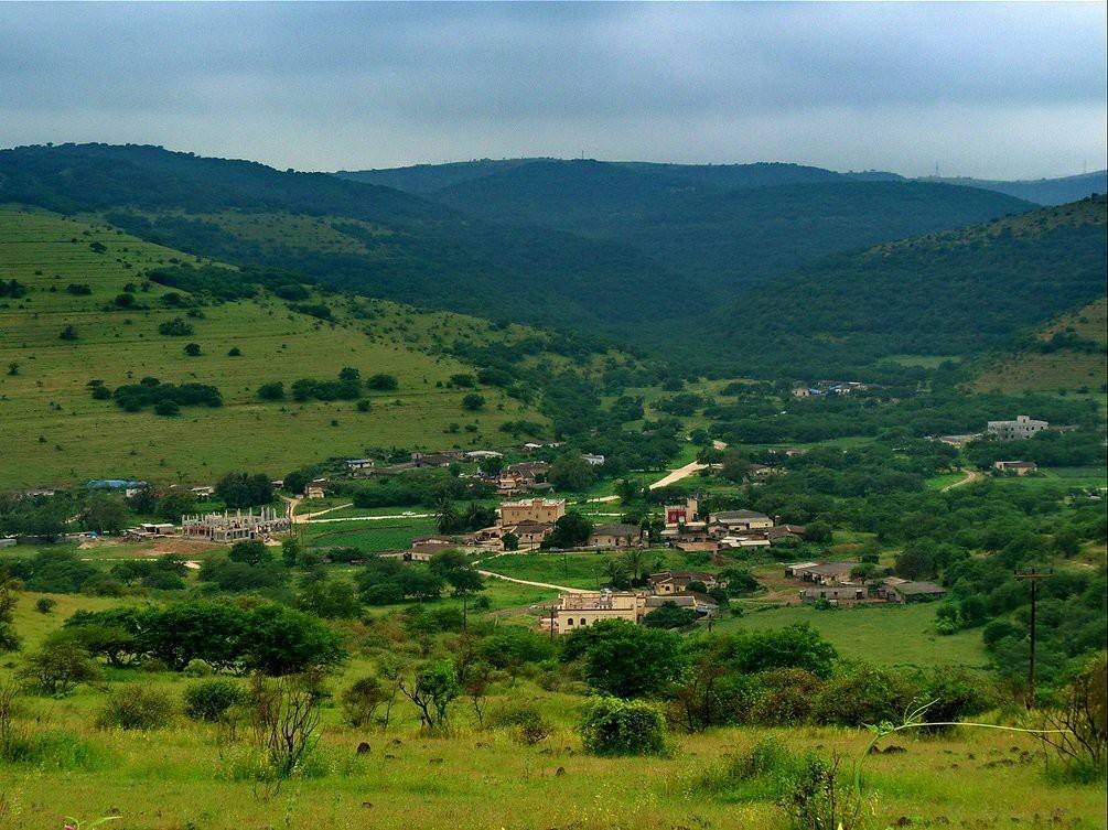 wadi naheez